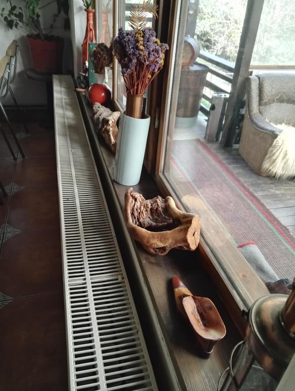 Cabana La Noi Hotel Rîşnov Екстериор снимка
