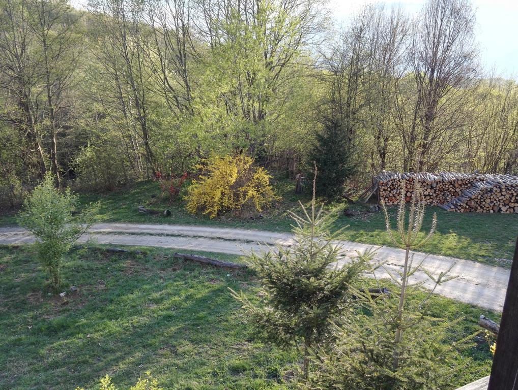 Cabana La Noi Hotel Rîşnov Екстериор снимка