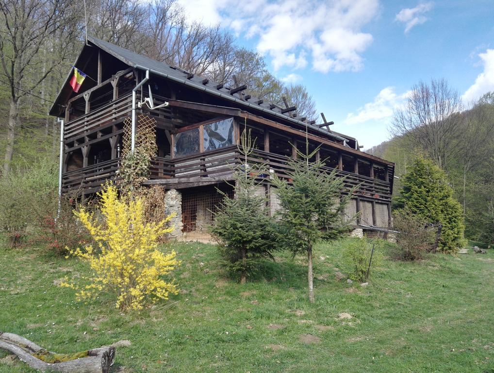 Cabana La Noi Hotel Rîşnov Екстериор снимка